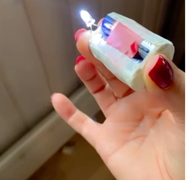 Дрова, консервация, свечи. Могилевская показала, как готовится к возможным блэкаутам (видео)